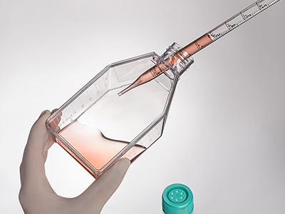 斜頸設(shè)計，易于傾倒，方便移 液管和細胞刮刀的進出