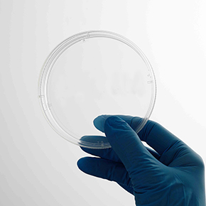 CellDETACH?溫敏細胞培養(yǎng)器,溫度感應細胞培養(yǎng)表面