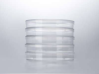 培養(yǎng)皿蓋外邊緣凸起，保證疊放穩(wěn)定；