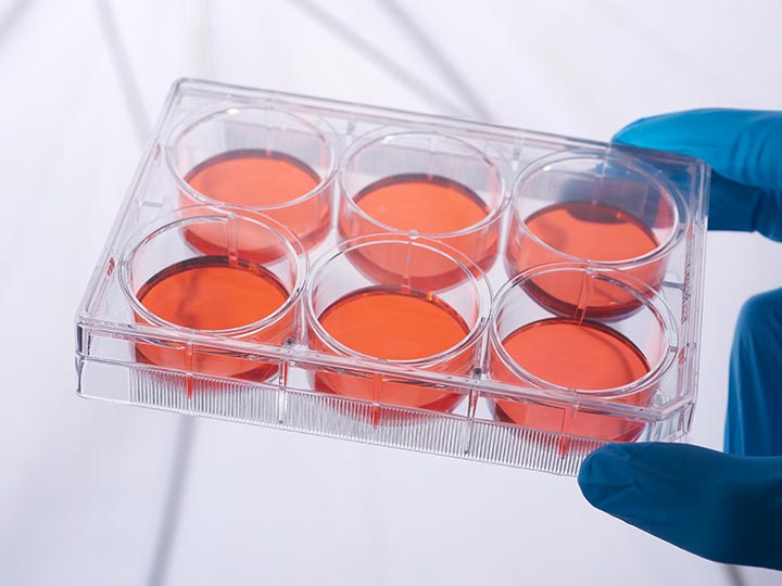 內(nèi)頁720×540 拷貝3.jpg