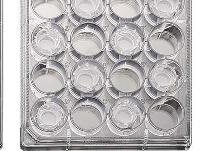 配有清晰的數(shù)字孔標(biāo)識，便于區(qū)分識別，方便記錄