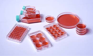 細(xì)胞培養(yǎng)板/瓶/皿常見(jiàn)問(wèn)題